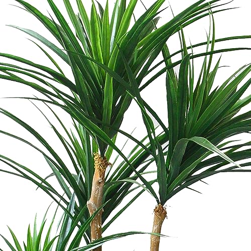 Silky Flower Store Artificial Yucca Tree, Tropical Faux Plant with Rubber Leaves, Natural Trunk, UV Resistant, Indoor Outdoor Décor, 51-inch 5 5 Product: Pure Garden Artificial Tree - 51-Inch Tropical Yucca Plant with Rubber Leaves and Natural Trunk for Living Room, Bedroom and Office - Faux Plants