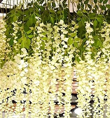 Silky Flower Store White Artificial Wisteria Garland, Silk Hanging Flower Vine, 24 Pack, 3.6ft 11 11 Product: UNIQU 24 Pack 3.6 Feet/Piece White Artificial Flowers Fake Wisteria Garland Hanging Wisteria Silk Flowers for Home Garden Weddings Party Decor