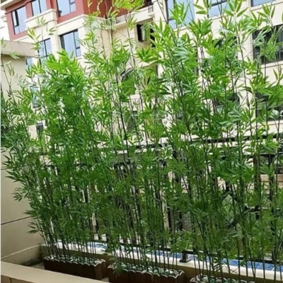 Silky Flower Store Outdoor Artificial Bamboo Plants, UV All Weather Resistant Patio Faux Bamboo Privacy Fence, 150CM 59IN 15 15 Product: Outdoor Artificial Bamboo Plants Tall, Uv All Weather Resistant Patio Faux Bamboo Privacy Fence, Landscaping Simulation Tree/ Room Divider, 1 1.2 1.5 1.8 M High ( Color : 1m High , Size : 150CM/59IN