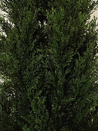 Product: Two 5 Foot Artificial Topiary Cedar Trees Potted Indoor Outdoor Plants