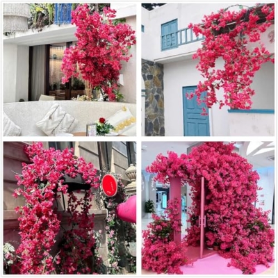 Silky Flower Store Artificial Bougainvillea Flower Stems, Silk Long Branches Fuchsia, Pack of 16, 31in 10 10 Product: haplous Pack of 16 - Artificial Bougainvillea Flower Stems Silk Bougainvillea Long Branches Full Blossoms for Home Wedding Table Centerpiece Shower Event Backdrop Indoor Outdoor Decorations (Fuchsia)