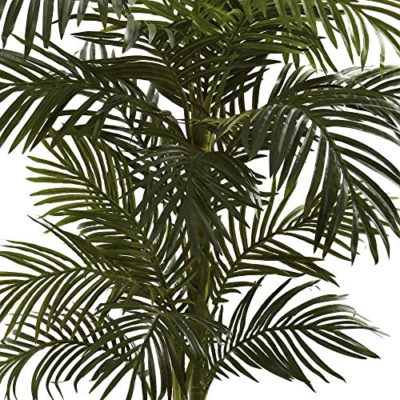 Product: Nearly Natural 5ft. Golden Cane Palm Artificial Tree, Green