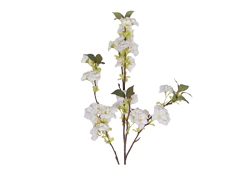 Silky Flower Store White Cherry Blossom Faux Stems, Alice Lane Home Collection, Pack of 3, 32.5cm 1 1 Product: White Cherry Blossom Stems – Pack of 3 – by Alice Lane Home Collection – Luxurious Vibrant Flowers – Faux Stems – Wedding, Home Décor