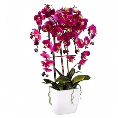 Product: Dahlia Studios Potted Silk Faux Artificial Flowers Arrangements Realistic Purple Fuchsia Orchid in White Ceramic Pot for Home Decoration Living Room Office Bedroom Bathroom Kitchen 29" High