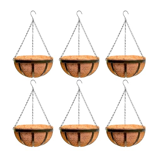 LaLaGreen Outdoor Hanging Baskets for Plants (6 Pack, 12 Inch) Medium Hanging Planter with Coco Liner, Flat Iron Metal Round Plant Flower Pots for Deck Patio Porch Garden Balcony Outside Decoration - Artificial Flower Arrangements Product: LaLaGreen Outdoor Hanging Baskets for Plants (6 Pack, 12 Inch) Medium Hanging Planter with Coco Liner, Flat Iron Metal Round Plant Flower Pots for Deck Patio Porch Garden Balcony Outside Decoration