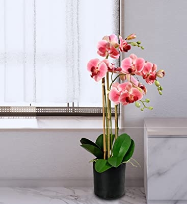 Silky Flower Store Pink Realistic Phalaenopsis Orchids, Artificial Potted Flowers in Black Plastic Pot, 26 Inch Tall, 5 Inch Diameter 9 9 Product: Serene Spaces Living 3 Pink Realistic Phalaenopsis Orchids in Black Plastic Pot, Artificial Potted Flowers - Beautiful Entryway Vase, Foyer Table Décor, Great Gift, Measures 5" Diameter & 26" Tall