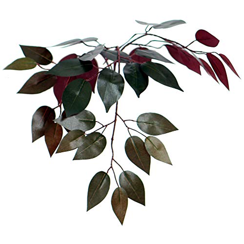 Silky Flower Store Artificial Capensia Bush, Decorative Rattan Basket, Faux Floor Plant, Indoor Greenery, 4-Feet 1 1 Product: Vickerman 4-Feet Artificial Capensia Bush in Decorative Rattan Basket