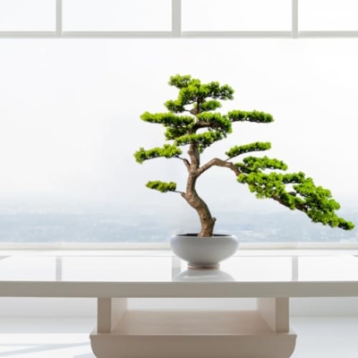 Product: VIGGDA 3ft（43in） Artificial Bonsai Tree Juniper Faux Plants Indoor Big Fake Plants Decor with Ceramic Pots for Home Table Office Desk Bathroom Shelf Bedroom Living Room Farmhouse Decorations
