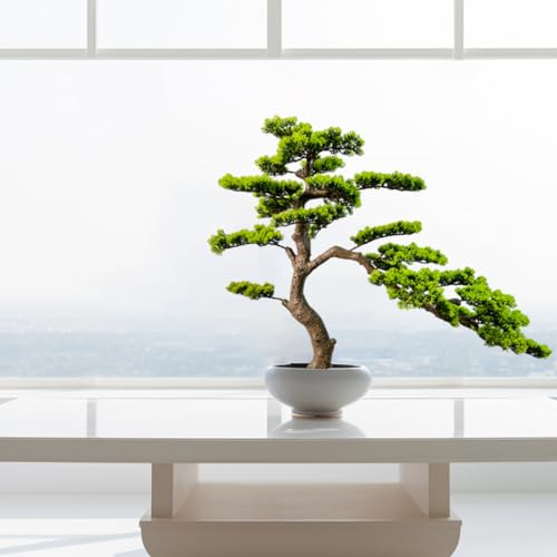 Product: VIGGDA 3ft（43in） Artificial Bonsai Tree Juniper Faux Plants Indoor Big Fake Plants Decor with Ceramic Pots for Home Table Office Desk Bathroom Shelf Bedroom Living Room Farmhouse Decorations