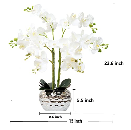 Silky Flower Store Artificial Orchid Flowers Silver Vase, White Phalaenopsis Centerpiece, Faux Floral Arrangement 20.5cm 3 3 Product: GXLMII Orchid Artificial Flowers for Home Decor, Faux Orchids with Silver Vase Phalaenopsis Fake Flowers Real Touch Flowers Plants White Orquideas Arrangements in Pot Table Centerpiece Decoration