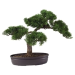 Product: Nearly Natural 4106 16in. Cedar Bonsai Silk Plant,Green