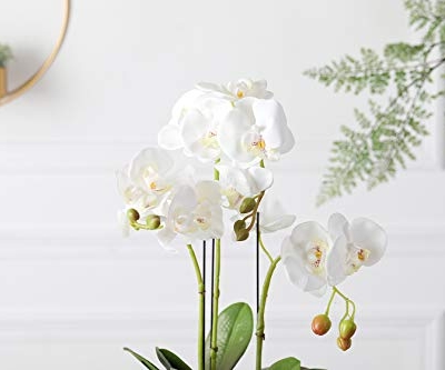 Product: Fudostar Artificial Silk Moth Orchid Flowers Potting in Matte Gold Ceramic Vase, 22'' High, Real Touch Natural Looking Phalaenopsis Flowers and Greens, Centerpiece Decor (White)