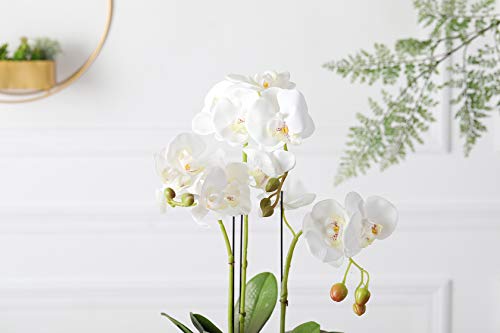 Product: Fudostar Artificial Silk Moth Orchid Flowers Potting in Matte Gold Ceramic Vase, 22'' High, Real Touch Natural Looking Phalaenopsis Flowers and Greens, Centerpiece Decor (White)