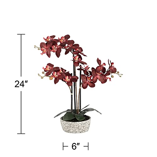 Silky Flower Store Artificial Red Orchid Arrangement, Studio 55D Potted Silk Faux Flower in Crackle Gray Vase, 24 High 3 3 Product: Studio 55D Potted Silk Faux Artificial Flower Arrangement Realistic Red Orchid in Crackle Gray Vase for Home Decoration Living Room Office Bedroom Bathroom Kitchen Dining Room 24" High