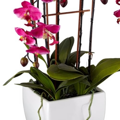Product: Dahlia Studios Potted Silk Faux Artificial Flowers Arrangements Realistic Purple Fuchsia Orchid in White Ceramic Pot for Home Decoration Living Room Office Bedroom Bathroom Kitchen 29" High