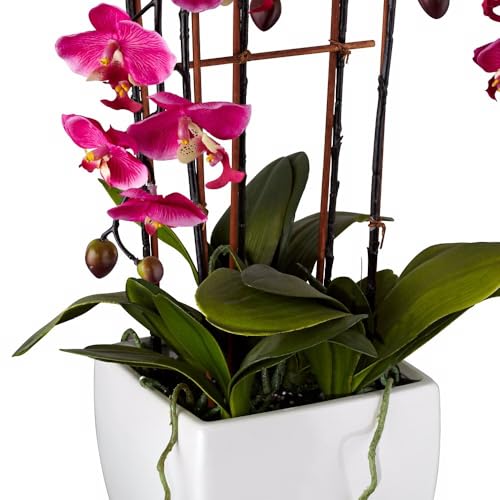 Product: Dahlia Studios Potted Silk Faux Artificial Flowers Arrangements Realistic Purple Fuchsia Orchid in White Ceramic Pot for Home Decoration Living Room Office Bedroom Bathroom Kitchen 29" High