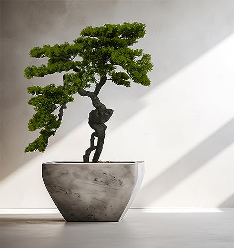 Product: AfanD 3.5ft（43in） Artificial Bonsai Tree Juniper Faux Plants Indoor Big Fake Plants Decor with Ceramic Pots for Home Table Office Desk Bathroom Shelf Bedroom Living Room Farmhouse Decorations