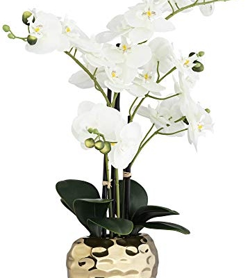 Silky Flower Store Artificial White Phalaenopsis Orchid, Silver Gold Ceramic Pot, Dahlia Studios Potted Faux Flower, 23 High 12 12 Product: Dahlia Studios Potted Faux Artificial Flowers Realistic White Phalaenopsis Orchid in Silver Gold Ceramic Pot Home Decoration Living Room Office Bedroom Bathroom Kitchen Dining Room 23" High