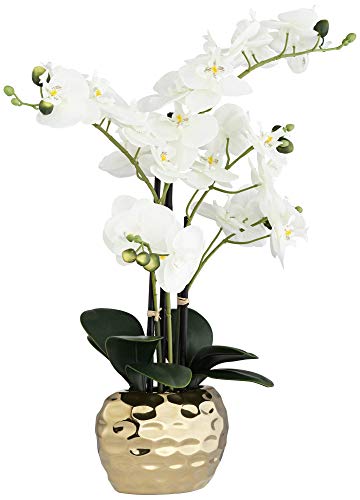 Silky Flower Store Artificial White Phalaenopsis Orchid, Silver Gold Ceramic Pot, Dahlia Studios Potted Faux Flower, 23 High 4 4 Product: Dahlia Studios Potted Faux Artificial Flowers Realistic White Phalaenopsis Orchid in Silver Gold Ceramic Pot Home Decoration Living Room Office Bedroom Bathroom Kitchen Dining Room 23" High