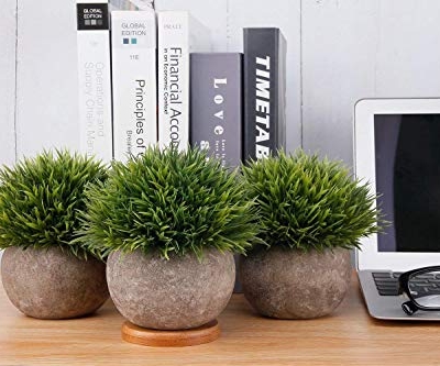 Silky Flower Store Artificial Plant Grey Pot, Fake Green Topiary Shrubs Set of 3, Indoor Outdoor Decor, 12.5cm 9 9 Product: T4U Mini Artificial Plants in Grey Pot, Plastic Fake Green Topiary Shrubs for Home Office Wedding Decoration Set of 3