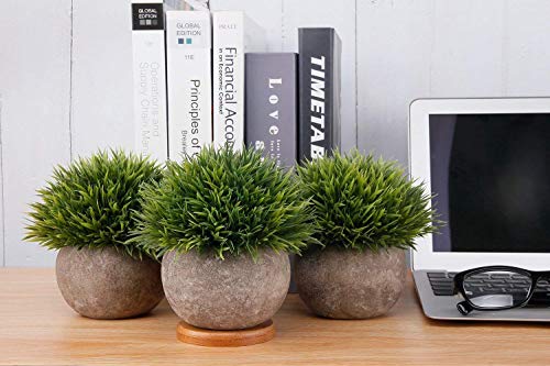 Silky Flower Store Artificial Plant Grey Pot, Fake Green Topiary Shrubs Set of 3, Indoor Outdoor Decor, 12.5cm 1 1 Product: T4U Mini Artificial Plants in Grey Pot, Plastic Fake Green Topiary Shrubs for Home Office Wedding Decoration Set of 3