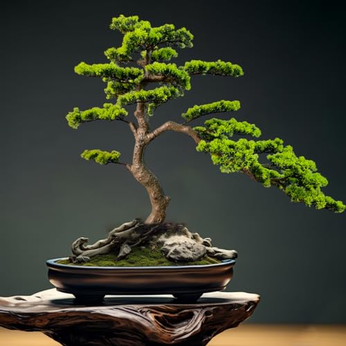 Product: VIGGDA 3ft（43in） Artificial Bonsai Tree Juniper Faux Plants Indoor Big Fake Plants Decor with Ceramic Pots for Home Table Office Desk Bathroom Shelf Bedroom Living Room Farmhouse Decorations