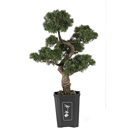 Product: Nearly Natural 4100 Cedar Bonsai Tree, 36-Inch, Green