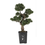 Product: Nearly Natural 4100 Cedar Bonsai Tree, 36-Inch, Green