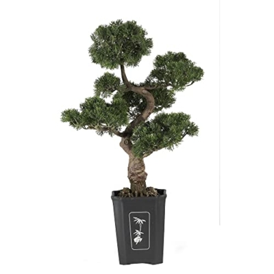 Product: Nearly Natural 4100 Cedar Bonsai Tree, 36-Inch, Green