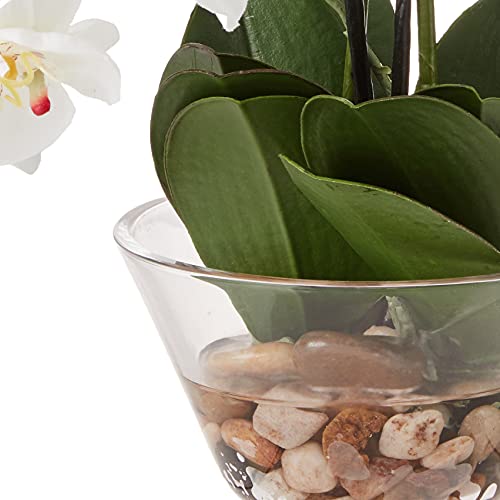 Silky Flower Store Artificial Phalaenopsis Silk Flower Arrangement, White Glass Vase, Faux Water, 29 x 10.25 x 10.25 7 7 Product: Nearly Natural 4643-WH Phalaenopsis with Glass Vase Decorative Silk Flower Arrangement, White 29 x 10.25 x 10.25