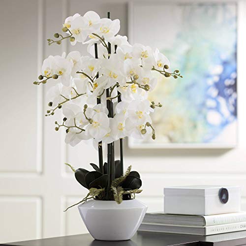 Product: Dahlia Studios Potted Faux Artificial Flowers Arrangements Realistic White Phalaenopsis Orchid in White Ceramic Pot for Home Decoration Living Room Office Bedroom Bathroom Kitchen 29" High