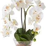 Product: Nearly Natural 4643-WH Phalaenopsis with Glass Vase Decorative Silk Flower Arrangement, White 29 x 10.25 x 10.25