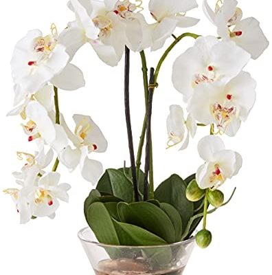 Product: Nearly Natural 4643-WH Phalaenopsis with Glass Vase Decorative Silk Flower Arrangement, White 29 x 10.25 x 10.25