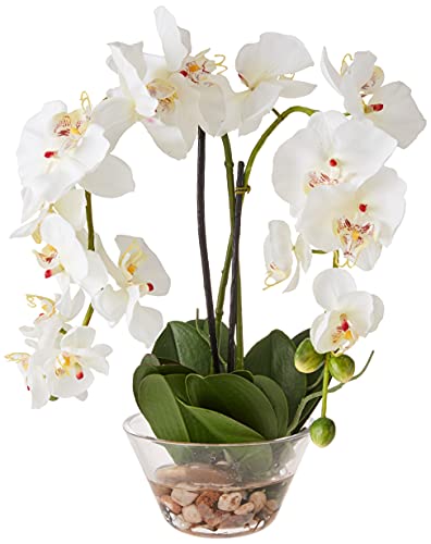 Nearly Natural 4643-WH Phalaenopsis with Glass Vase Decorative Silk Flower Arrangement, White 29 x 10.25 x 10.25 - Artificial Flower Arrangements Product: Nearly Natural 4643-WH Phalaenopsis with Glass Vase Decorative Silk Flower Arrangement, White 29 x 10.25 x 10.25
