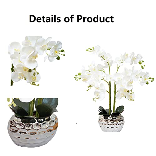 Silky Flower Store Artificial Orchid Flowers Silver Vase, White Phalaenopsis Centerpiece, Faux Floral Arrangement 20.5cm 5 5 Product: GXLMII Orchid Artificial Flowers for Home Decor, Faux Orchids with Silver Vase Phalaenopsis Fake Flowers Real Touch Flowers Plants White Orquideas Arrangements in Pot Table Centerpiece Decoration