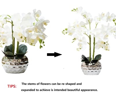 Silky Flower Store Artificial Orchid Flowers Silver Vase, White Phalaenopsis Centerpiece, Faux Floral Arrangement 20.5cm 8 8 Product: GXLMII Orchid Artificial Flowers for Home Decor, Faux Orchids with Silver Vase Phalaenopsis Fake Flowers Real Touch Flowers Plants White Orquideas Arrangements in Pot Table Centerpiece Decoration
