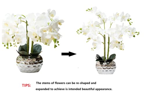Silky Flower Store Artificial Orchid Flowers Silver Vase, White Phalaenopsis Centerpiece, Faux Floral Arrangement 20.5cm 2 2 Product: GXLMII Orchid Artificial Flowers for Home Decor, Faux Orchids with Silver Vase Phalaenopsis Fake Flowers Real Touch Flowers Plants White Orquideas Arrangements in Pot Table Centerpiece Decoration