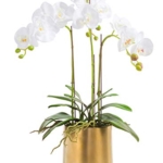 Product: Fudostar Artificial Silk Moth Orchid Flowers Potting in Matte Gold Ceramic Vase, 22'' High, Real Touch Natural Looking Phalaenopsis Flowers and Greens, Centerpiece Decor (White)