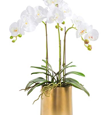 Product: Fudostar Artificial Silk Moth Orchid Flowers Potting in Matte Gold Ceramic Vase, 22'' High, Real Touch Natural Looking Phalaenopsis Flowers and Greens, Centerpiece Decor (White)