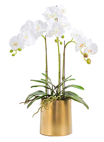Product: Fudostar Artificial Silk Moth Orchid Flowers Potting in Matte Gold Ceramic Vase, 22'' High, Real Touch Natural Looking Phalaenopsis Flowers and Greens, Centerpiece Decor (White)