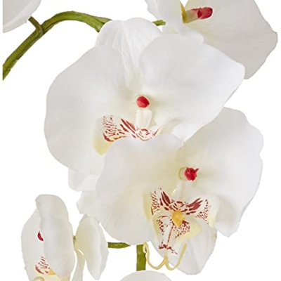 Silky Flower Store Artificial Phalaenopsis Silk Flower Arrangement, White Glass Vase, Faux Water, 29 x 10.25 x 10.25 18 18 Product: Nearly Natural 4643-WH Phalaenopsis with Glass Vase Decorative Silk Flower Arrangement, White 29 x 10.25 x 10.25