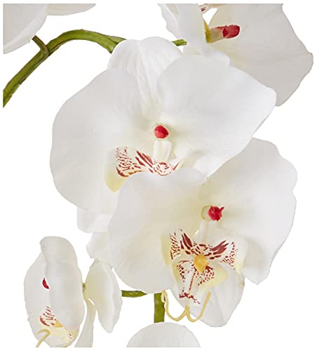 Silky Flower Store Artificial Phalaenopsis Silk Flower Arrangement, White Glass Vase, Faux Water, 29 x 10.25 x 10.25 8 8 Product: Nearly Natural 4643-WH Phalaenopsis with Glass Vase Decorative Silk Flower Arrangement, White 29 x 10.25 x 10.25