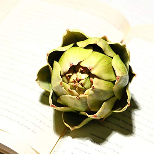 Silky Flower Store Artificial Artichoke Decor, Large Green Faux Vegetables Home Decor, Realistic Faux Plant Accent 9pcs 3 3 Product: Large Green Artificial Artichoke Vegetables Fake Artichoke for Home Decor (Green(9pcs))