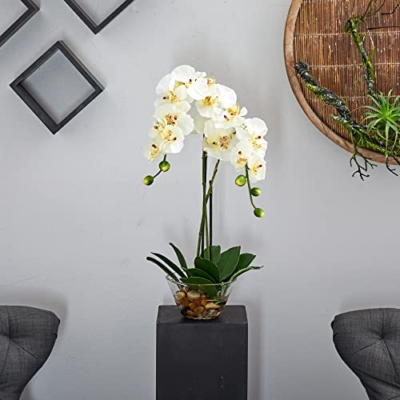 Silky Flower Store Artificial Phalaenopsis Silk Flower Arrangement, White Glass Vase, Faux Water, 29 x 10.25 x 10.25 13 13 Product: Nearly Natural 4643-WH Phalaenopsis with Glass Vase Decorative Silk Flower Arrangement, White 29 x 10.25 x 10.25