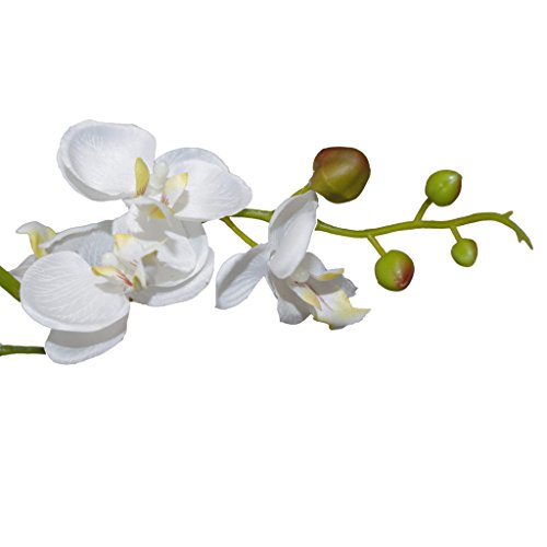 Product: Leaf Design UK Realistic Artificial Orchid Flower Display in Pot, White, 60cm