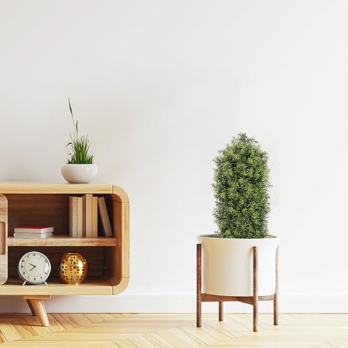 Silky Flower Store Artificial Boxwood Topiary Trees Set of 2, UV Resistant Faux Plants, Indoor Outdoor Decor, 3ft 6 6 Product: Aoutyers 3ft Artificial Boxwood Topiary Trees Set of 2 - UV Resistant Faux Plants for Outdoor/Indoor, Fake Bushes and Shrubs for Front Porch, Planter, Patio - No Maintenance Curb Appeal Plants