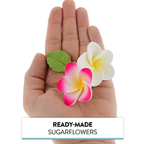Silky Flower Store Global Sugar Art Tropical Frangipani Plumeria Edible Sugar Flowers, 24 Count, Chef Alan Tetreault, 24 Count 6 6 Product: Global Sugar Art Tropical Frangipani Plumeria Edible Sugar Flower Blossoms, Wedding Cake & Cupcake Flowers with Leaves, 24 Count by Count by Chef Alan Tetreault
