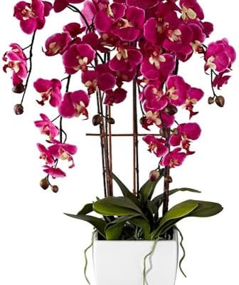 Product: Dahlia Studios Potted Silk Faux Artificial Flowers Arrangements Realistic Purple Fuchsia Orchid in White Ceramic Pot for Home Decoration Living Room Office Bedroom Bathroom Kitchen 29" High