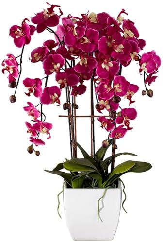 Product: Dahlia Studios Potted Silk Faux Artificial Flowers Arrangements Realistic Purple Fuchsia Orchid in White Ceramic Pot for Home Decoration Living Room Office Bedroom Bathroom Kitchen 29" High