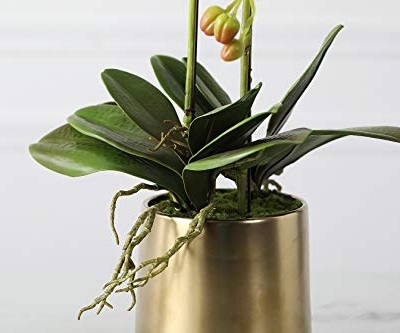 Product: Fudostar Artificial Silk Moth Orchid Flowers Potting in Matte Gold Ceramic Vase, 22'' High, Real Touch Natural Looking Phalaenopsis Flowers and Greens, Centerpiece Decor (White)